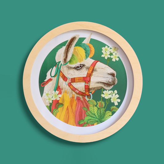 Llama & Venus Flytrap