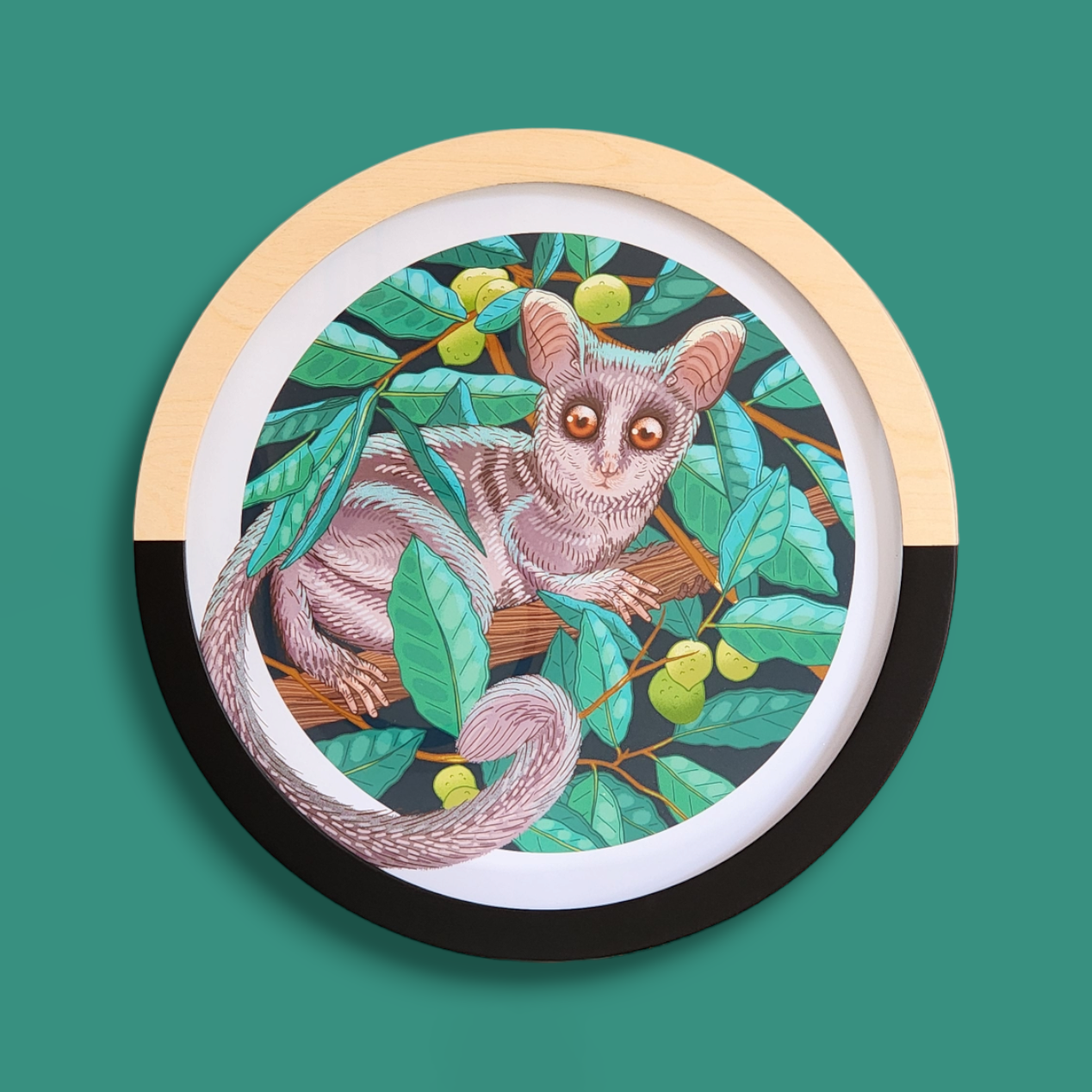 Bushbaby & Jackelberry