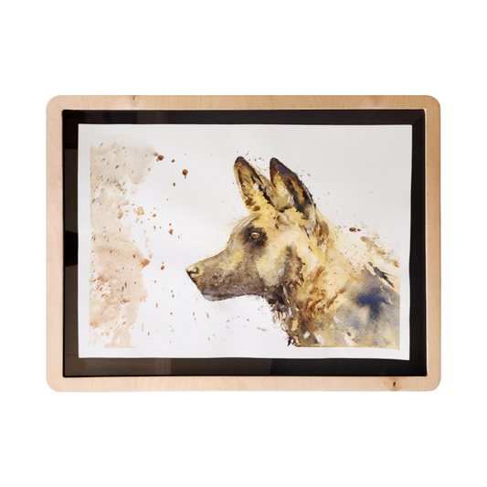 Wild Dog